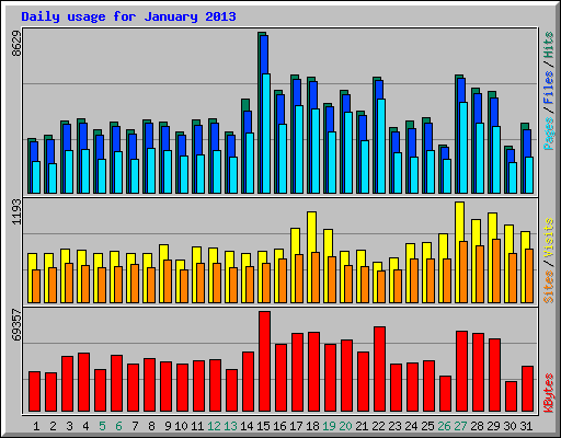Daily usage for January 2013