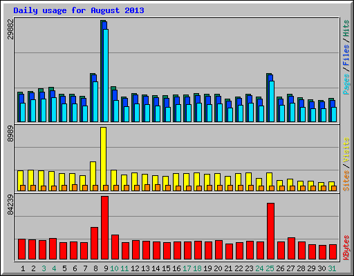 Daily usage for August 2013