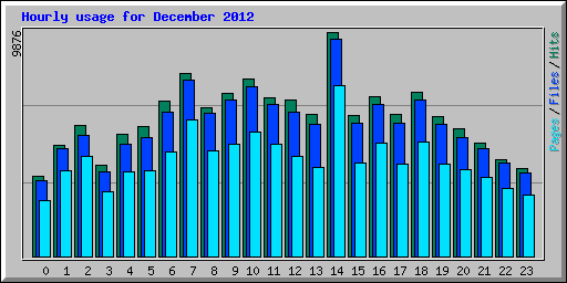 Hourly usage for December 2012