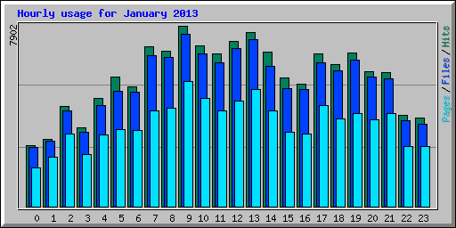 Hourly usage for January 2013