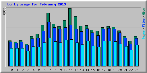 Hourly usage for February 2013