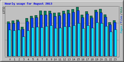 Hourly usage for August 2013