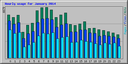 Hourly usage for January 2014