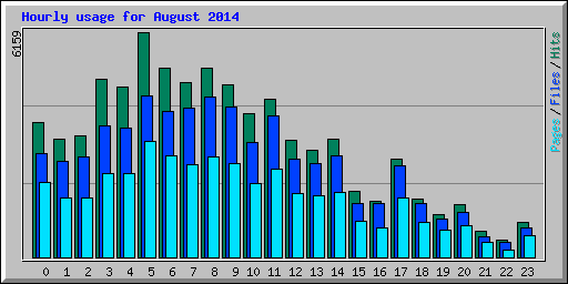 Hourly usage for August 2014