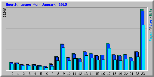 Hourly usage for January 2015